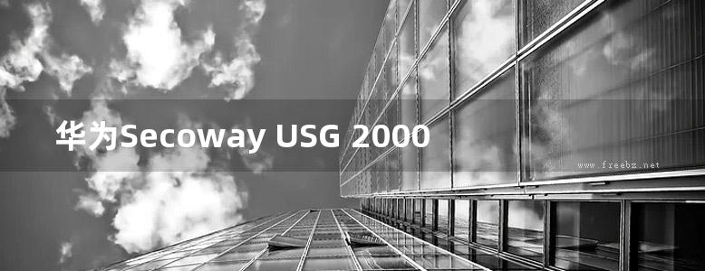 华为Secoway USG 2000系列速查手册